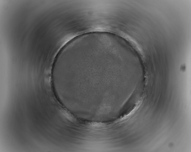 X0000102351170200808151743