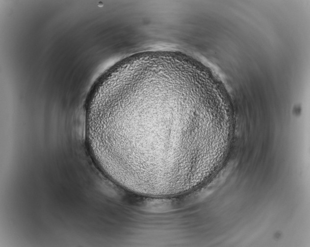 X0000102351171200808151743