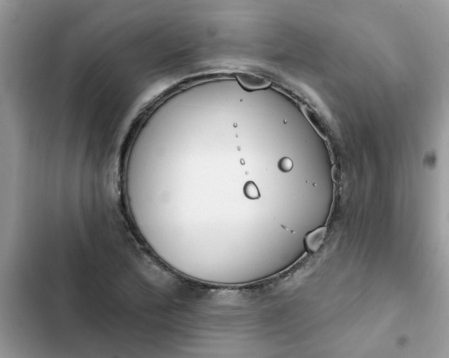 X0000102351172200808151743