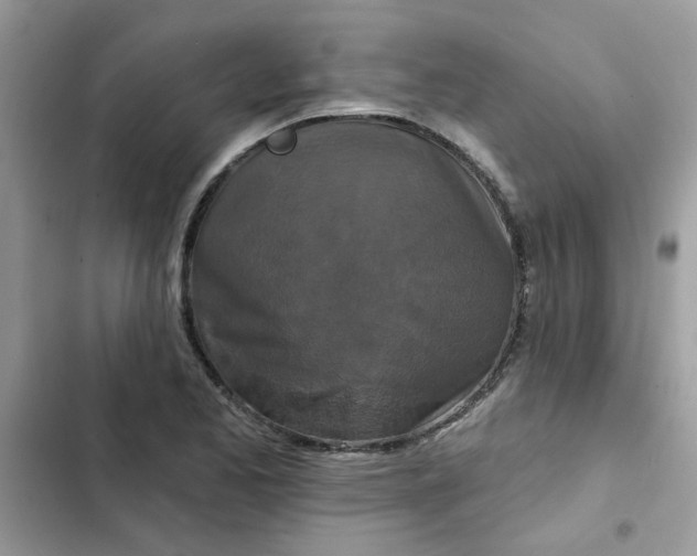 X0000102351173200808151743