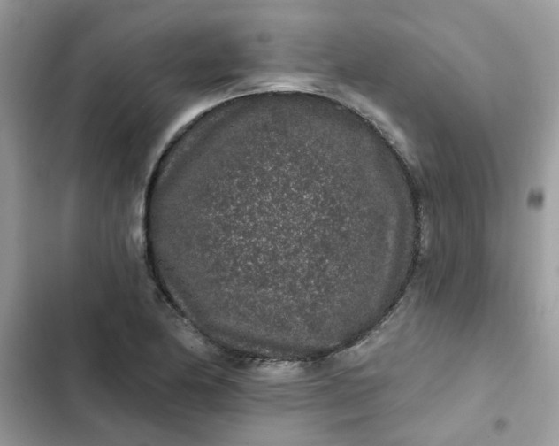 X0000102351174200808151743