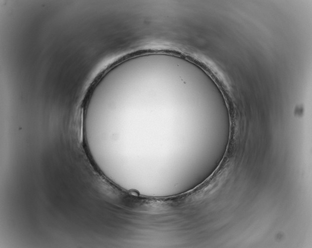 X0000102351175200808151743