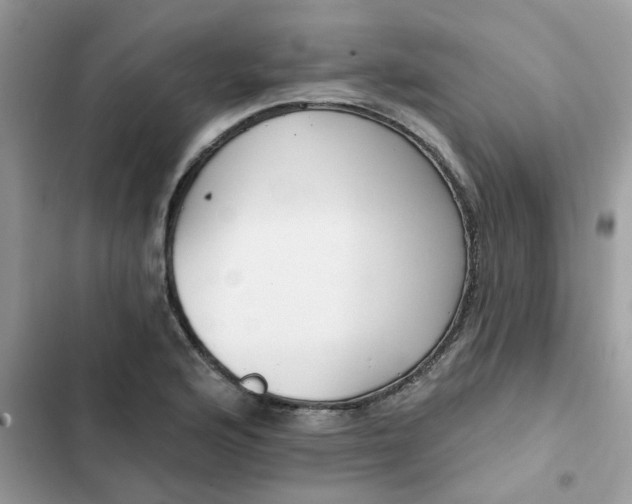 X0000102351176200808151743