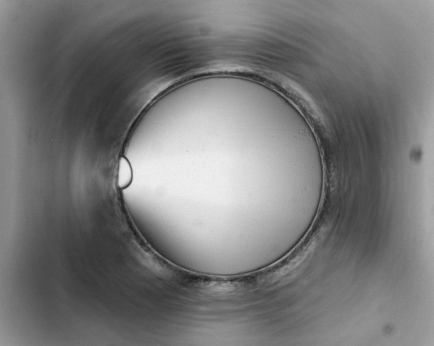 X0000102351177200808151743