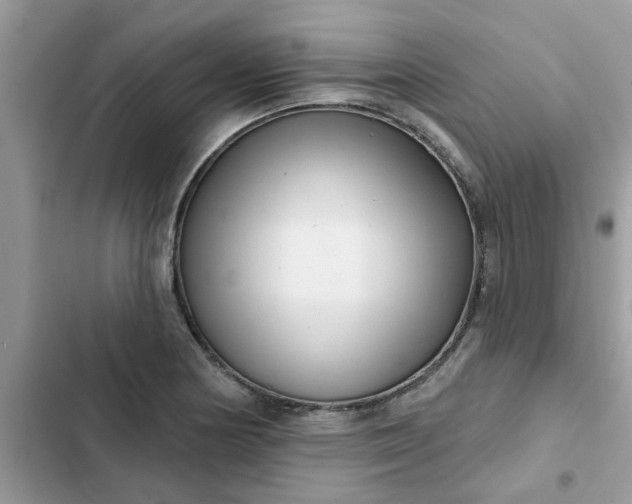 X0000102351178200808151743