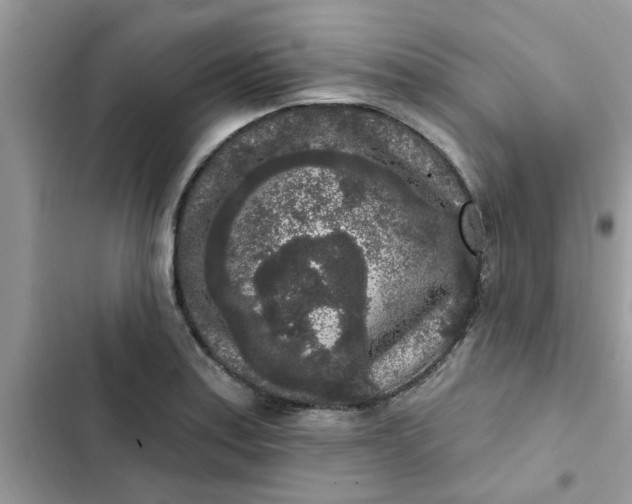 X0000102351179200808151743