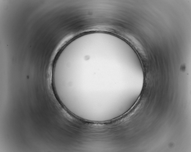 X0000102351180200808151743