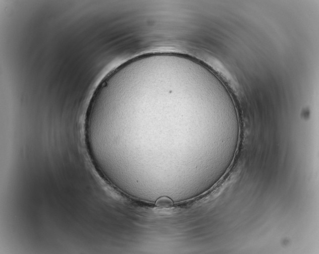 X0000102351181200808151743