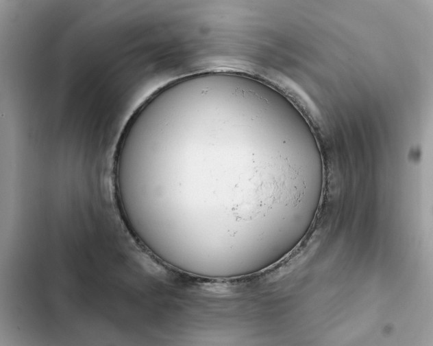 X0000102351182200808151743