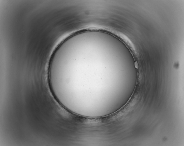 X0000102351183200808151743