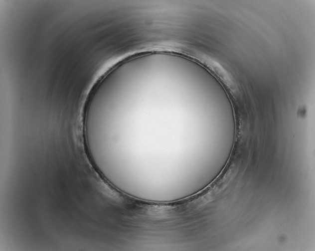 X0000102351184200808151743