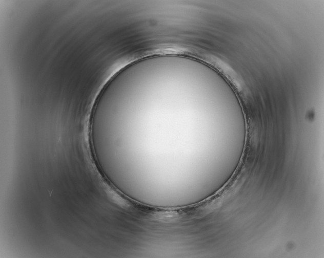 X0000102351186200808151743