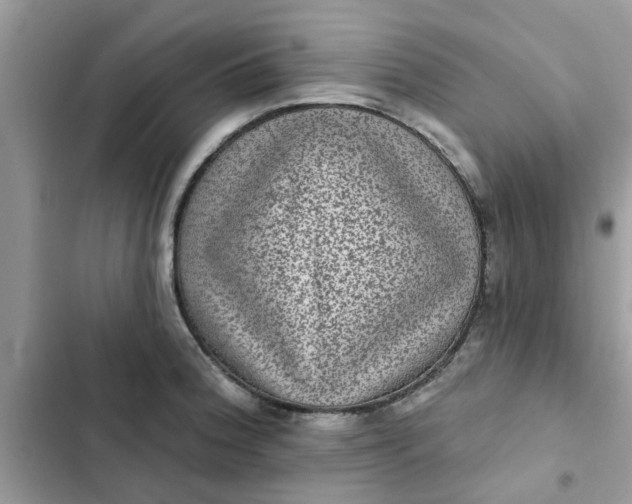 X0000102351188200808151743