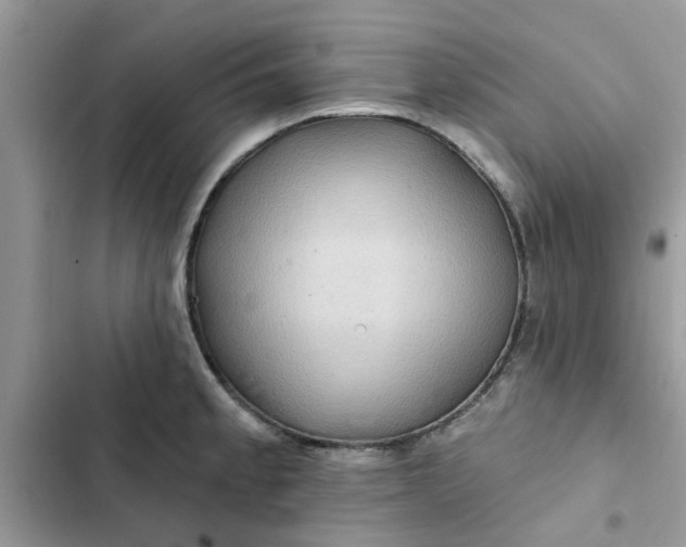 X0000102351189200808151743