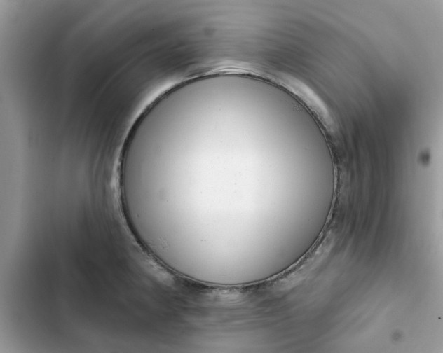 X0000102351190200808151743