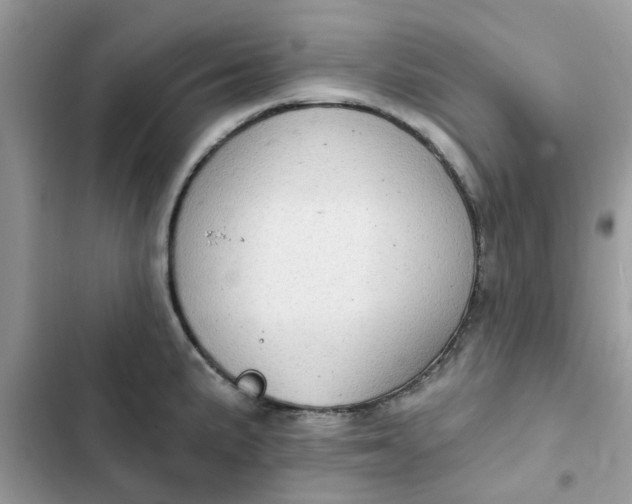 X0000102351191200808151743