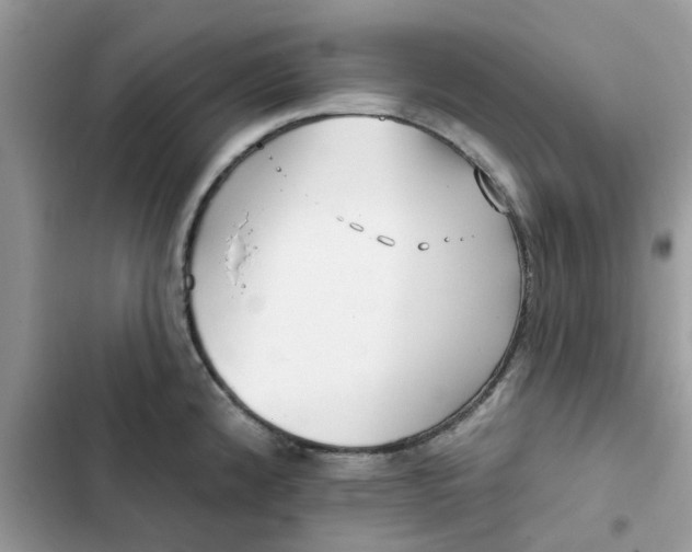 X0000102351192200808151743