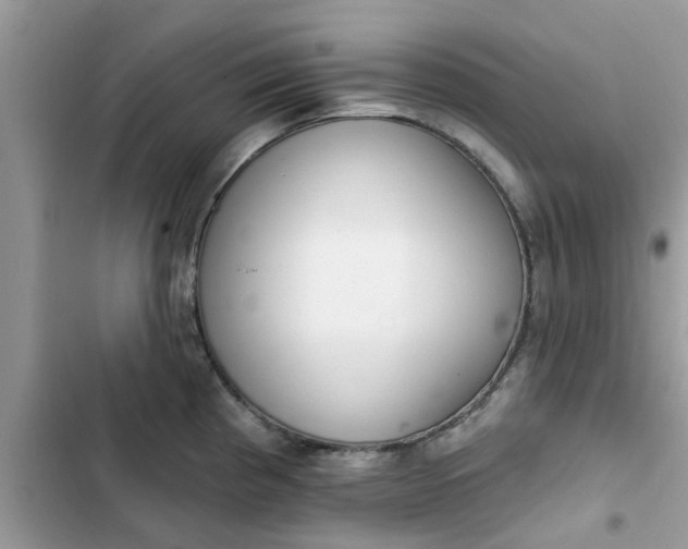 X0000102351193200808151743