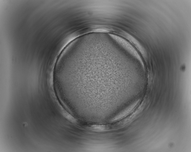 X0000102351194200808151743