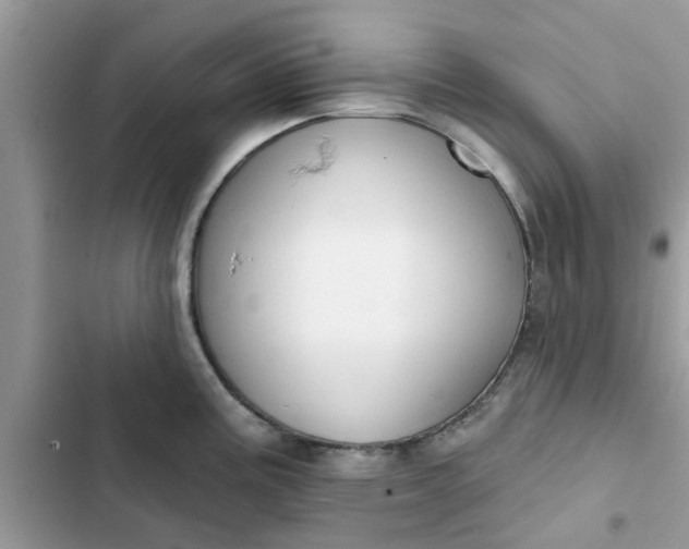 X0000102351195200808151743