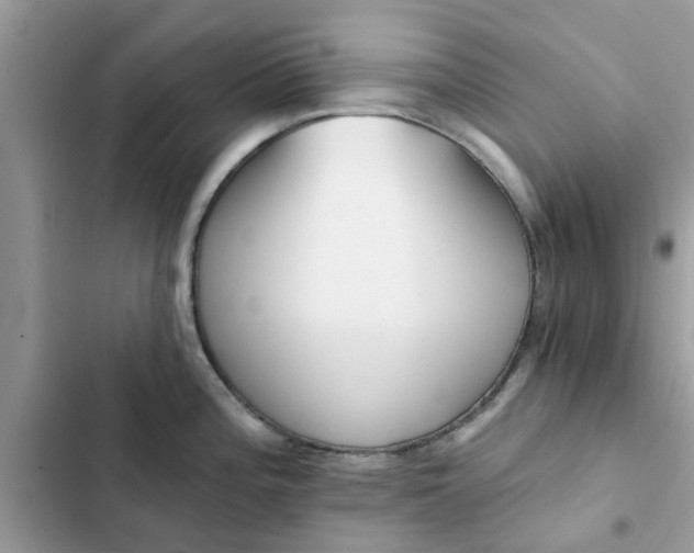 X0000102351196200808151743