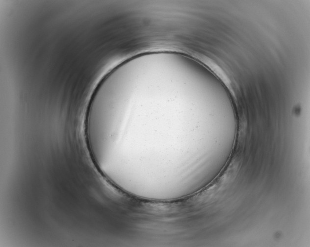 X0000102351197200808151743