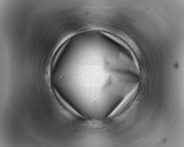 X0000102351198200808151743