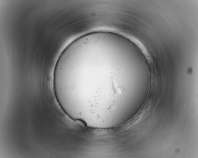 X0000102351199200808151743