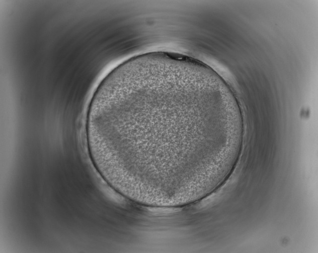 X0000102351200200808151743