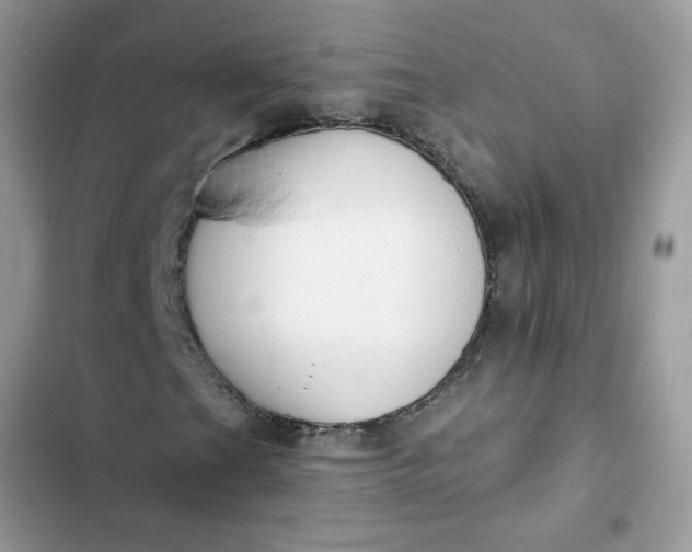 X0000102351201200808151742