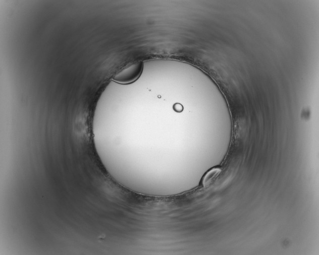 X0000102351202200808151742