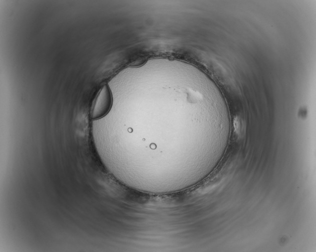 X0000102351203200808151742