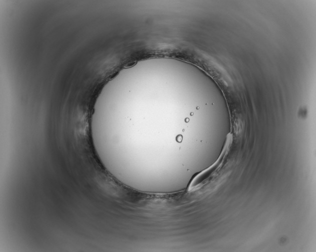 X0000102351204200808151742