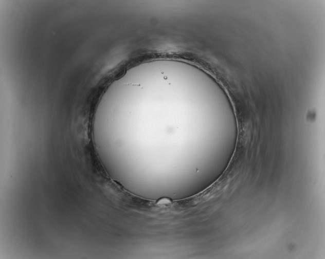 X0000102351205200808151742