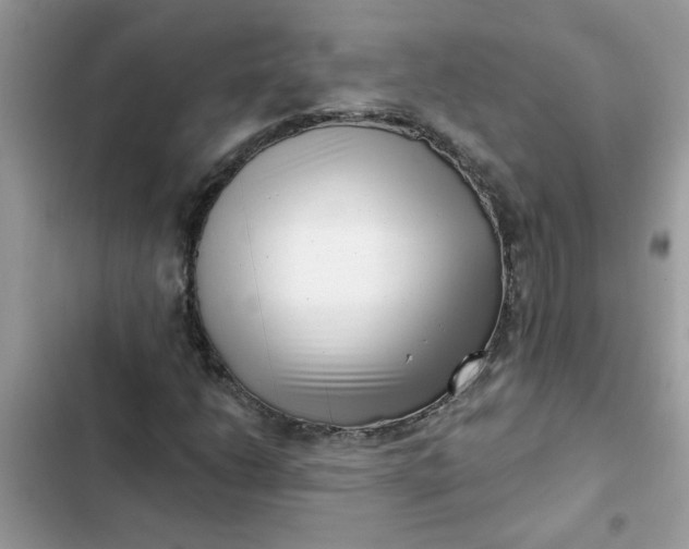 X0000102351206200808151742