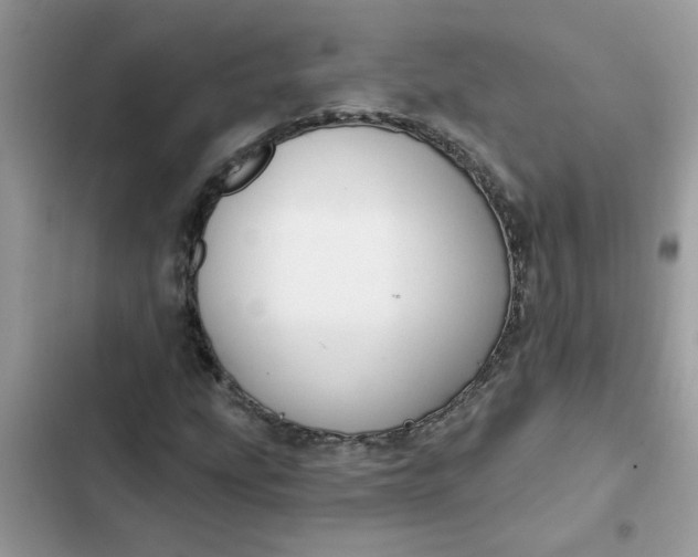 X0000102351207200808151742