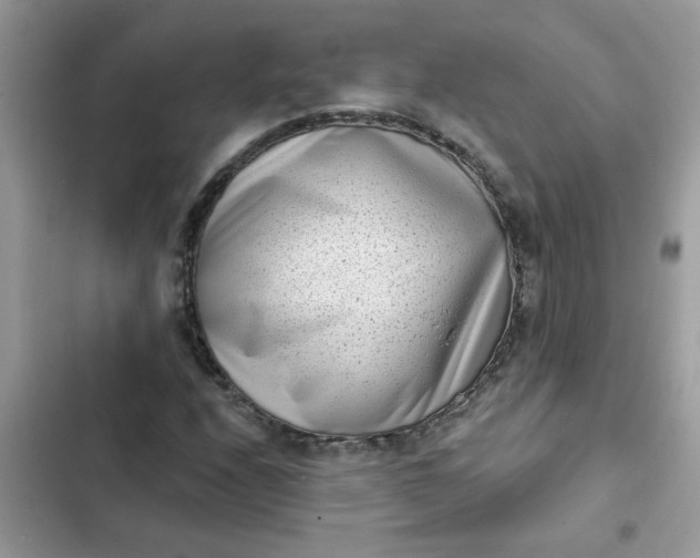 X0000102351208200808151742