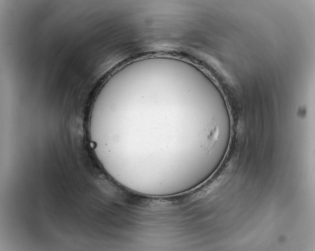 X0000102351209200808151742