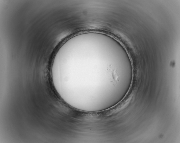 X0000102351210200808151743