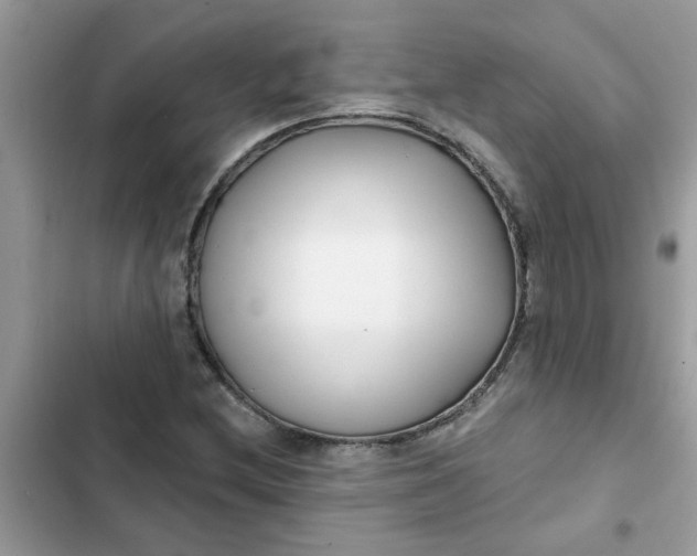 X0000102351212200808151743