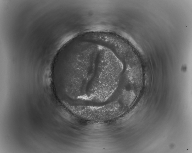 X0000102351213200808151743