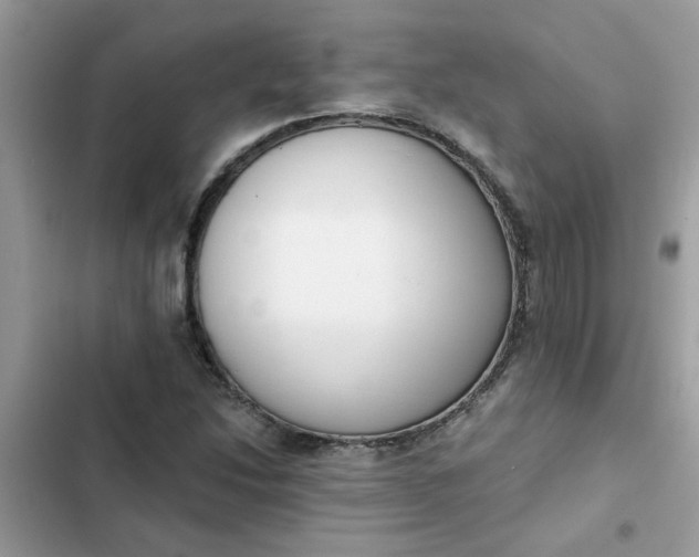 X0000102351214200808151743