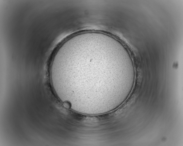 X0000102351215200808151743