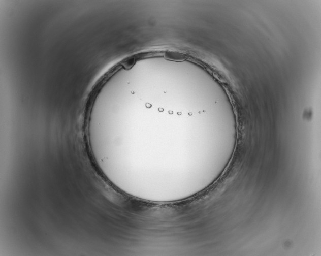 X0000102351216200808151743