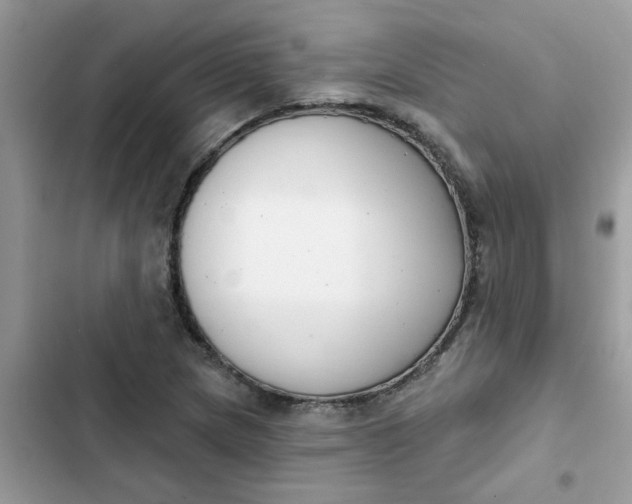 X0000102351217200808151743