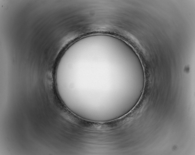 X0000102351218200808151743