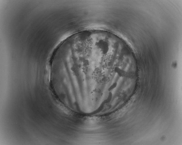 X0000102351219200808151743