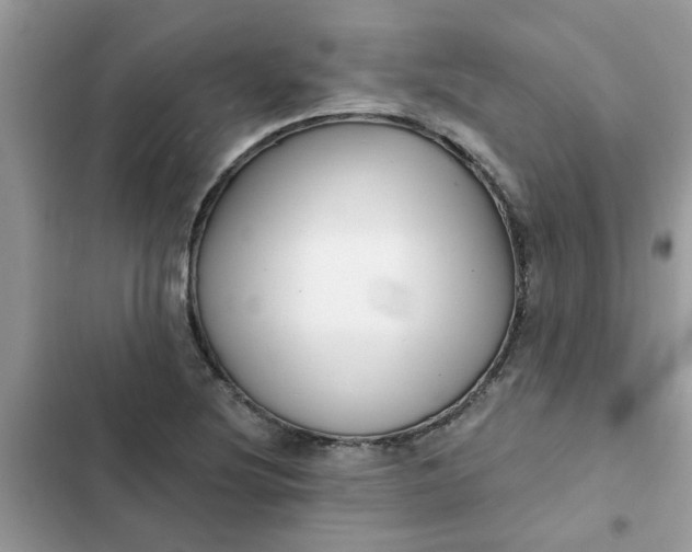 X0000102351220200808151743