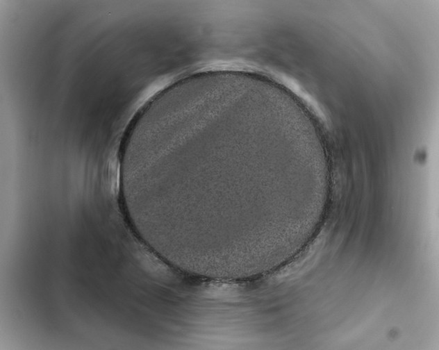 X0000102351221200808151743