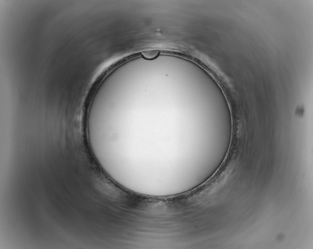 X0000102351222200808151743